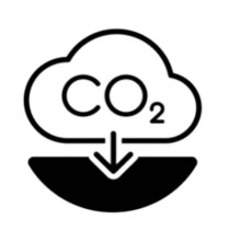 Carbon Sequestration