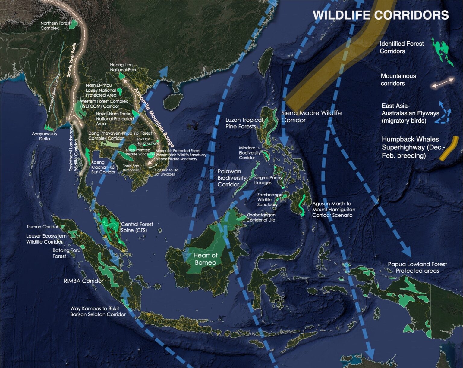 Wildlands Project Map Wildlife Corridors – ASEAN NbS Platform