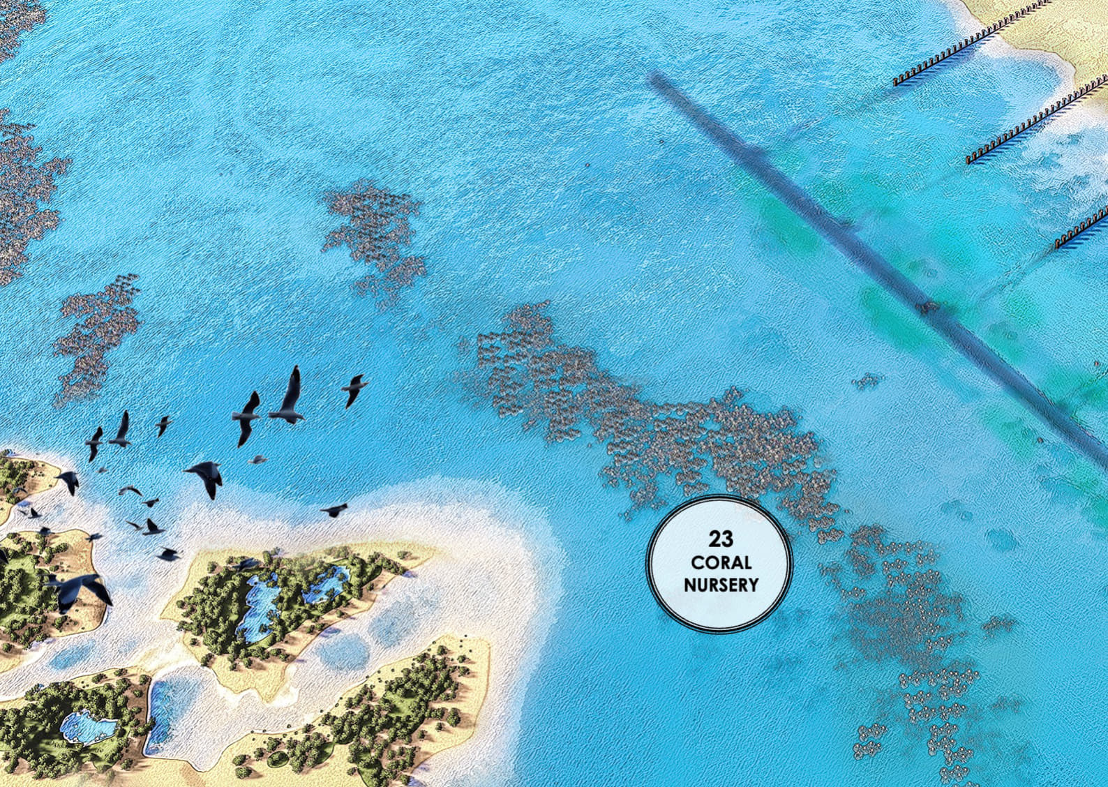 Coral Reef Restoration And Nurseries