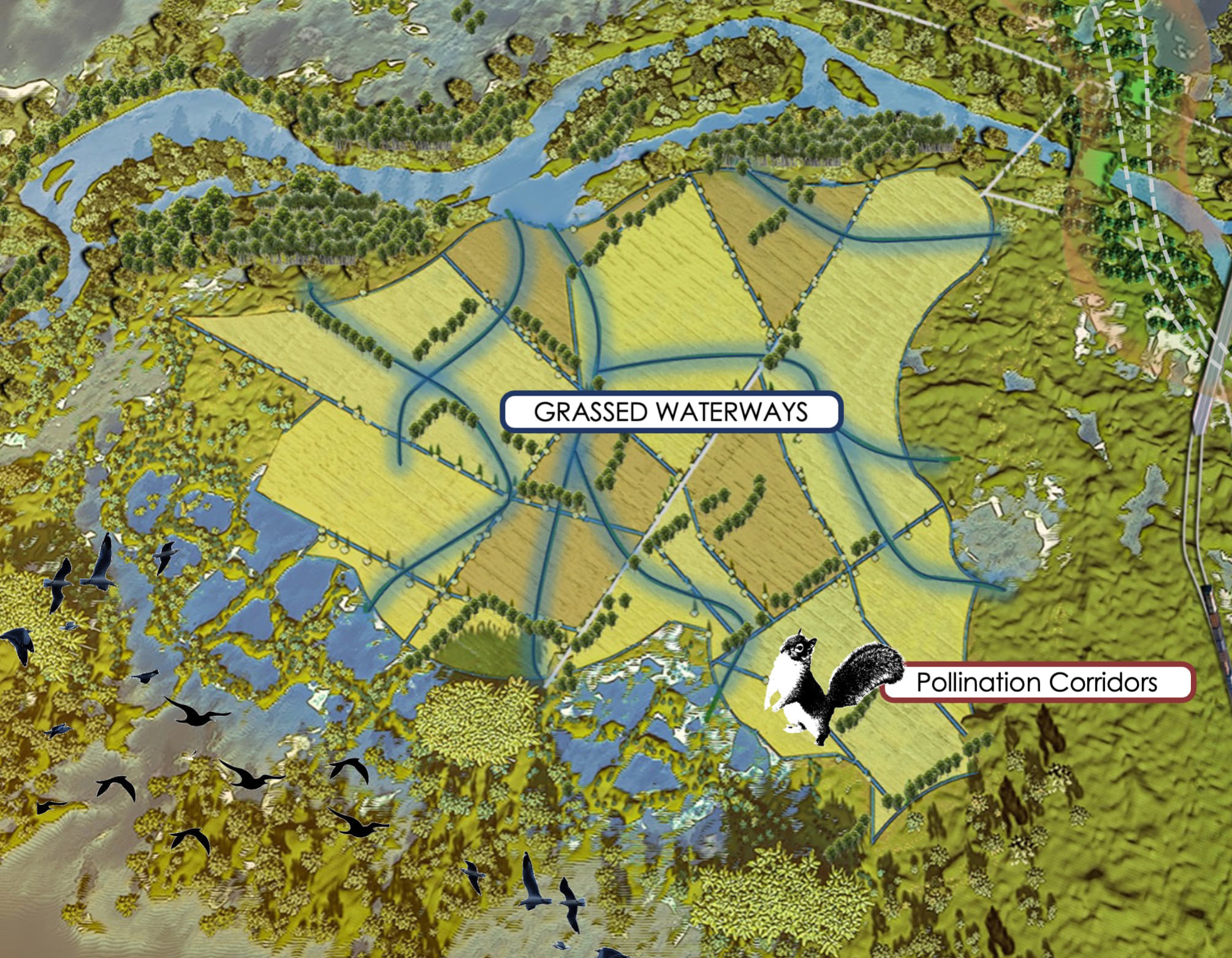 Grassed Waterways