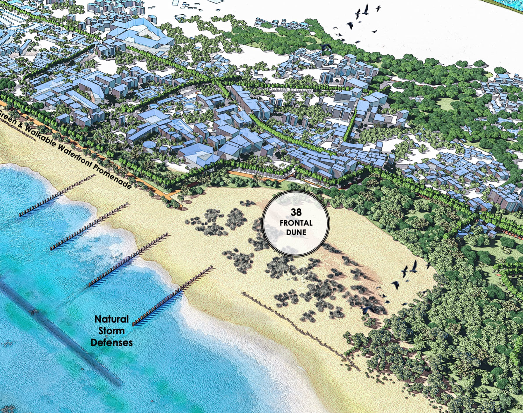 Frontal Dune