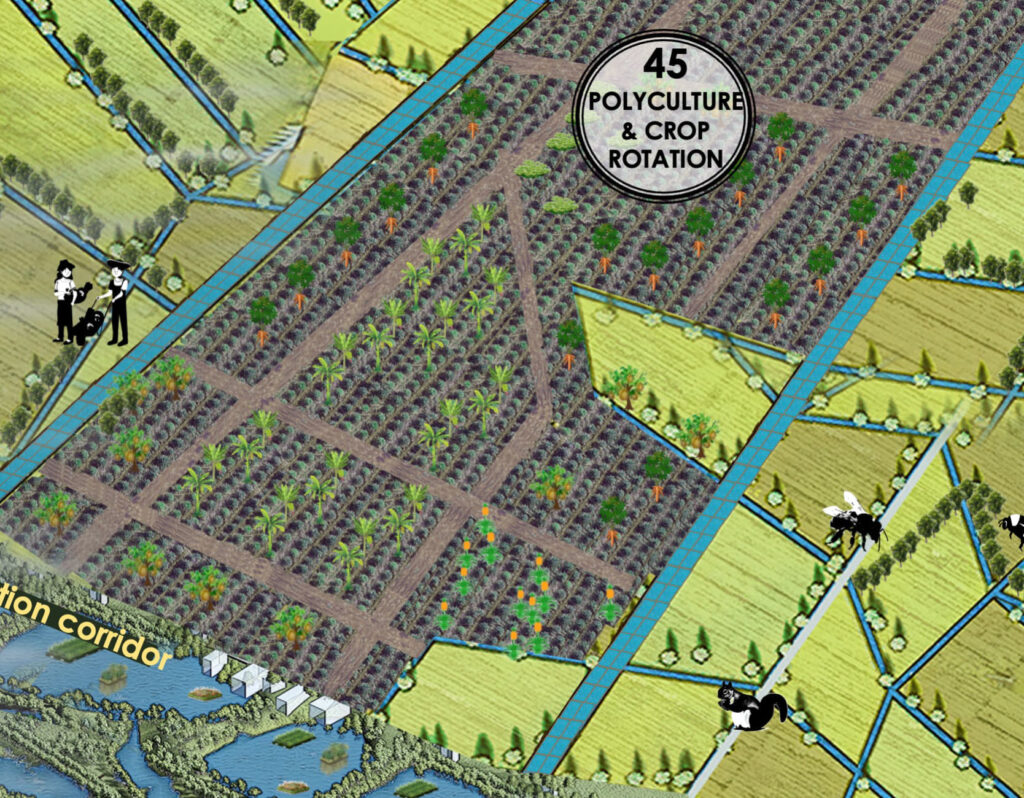 Polyculture & Crop Rotation – ASEAN NbS Platform