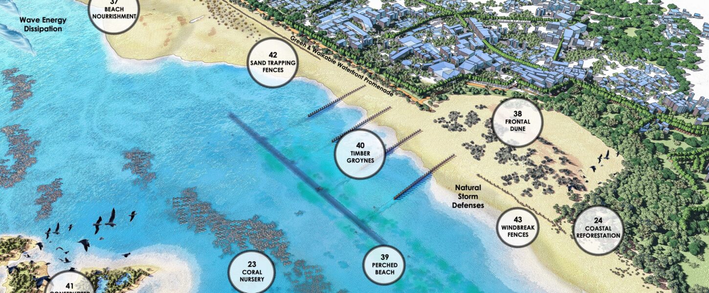 Adaptative Sandy Shorelines