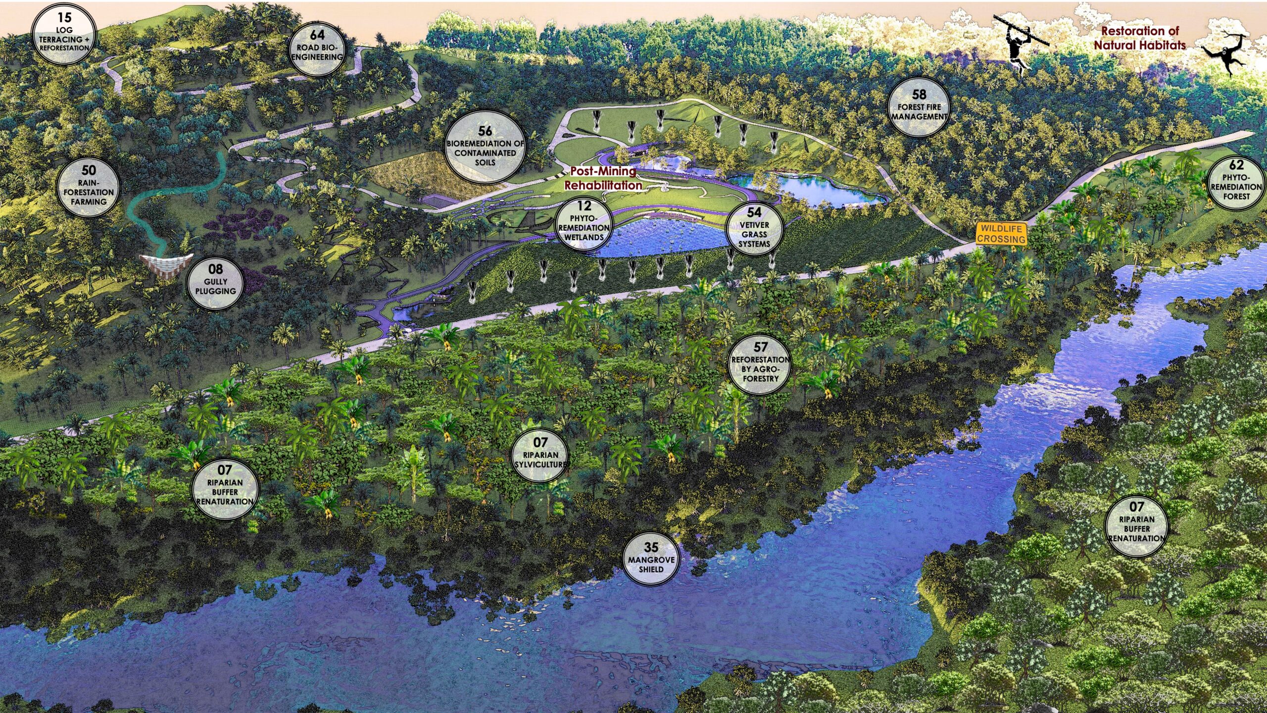 Healthy Forests and Natural Habitats
